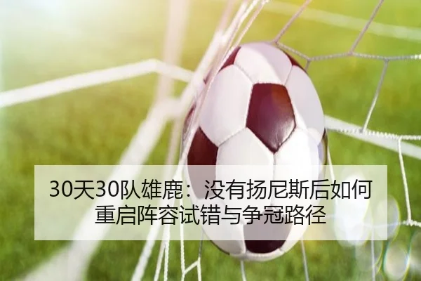 30天30队雄鹿：没有扬尼斯后如何重启阵容试错与争冠路径 - XINGKONG